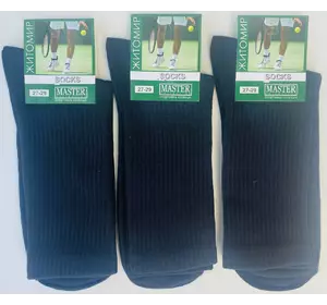 Шкарпетки чоловічі Мастер 27-29р х/б високий борт (резинка) чорні