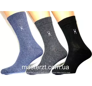 Шкарпетки чоловічі Мастер 27-29р  демісезонні асорті класика високі х\п