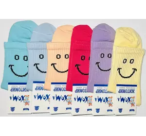 Шкарпетки дитячі Хома 22-24 демісезонні дівчинка Шкарпетки дитячі Хома 22-24 демісезонні дівчинка