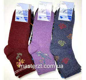 Шкарпетки жіночі демісезонні з малюнком  високі ха Мастер