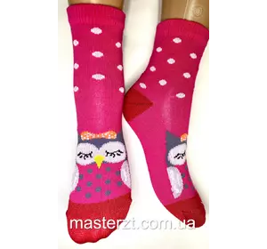 Шкарпетки дитячі весна осінь Хома 16-18  дівчина¶ совушка, асорті 2058 Шкарпетки дитячі весна осінь Хома 16-18  дівчина¶ совушка, асорті 2058