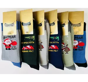Шкарпетки чоловічі махрові 27-29 ТМ "MASTER" БЕЗШОВНІ  НОВОРІЧНІ ВИСОКІ