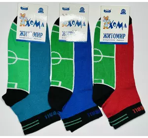 Шкарпетки дитячі Хома 20-22 весна осінь  хлопчик Шкарпетки дитячі Хома 20-22 весна осінь  хлопчик