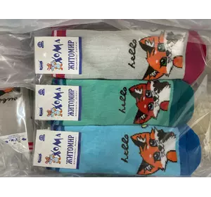 Шкарпетки дитячі махрові 18-20 дівчинка (мікс), ТМ "Хома"