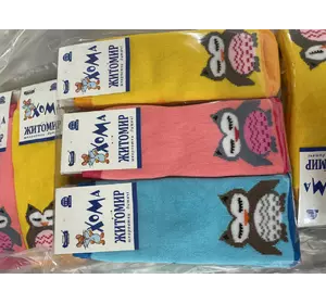 Шкарпетки дитячі махрові 14-16, 5006, дівчинка (мікс), ТМ "Хома"