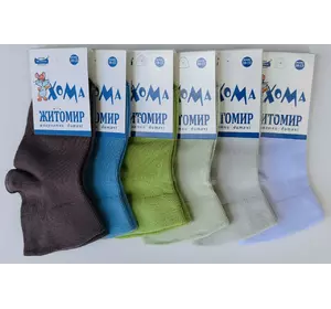 Шкарпетки дитячі демісезонні 10-12 ТМ "ХОМА"