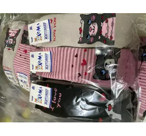Шкарпетки дитячі махрові 22-24 дівчинка (мікс),ТМ "Хома"