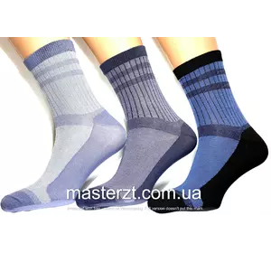Шкарпетки чоловічі Мастер 27-29  демісезонні рубчик високий¶