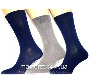 Шкарпетки чоловічі Мастер 27-29 демісезонні ТМ "MASTER"  бамбук БЕЗШОВНІ асорті класика