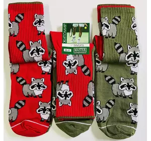 Шкарпетки чоловічі Мастер 27-29р ЄНОТ ЕЛІТ АСОРТІ Шкарпетки чоловічі Мастер 27-29р ЄНОТ ЕЛІТ АСОРТІ