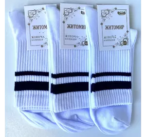 Шкарпетки жіночі демісезонні білі з чорними полосками висока гумка хб Мастер